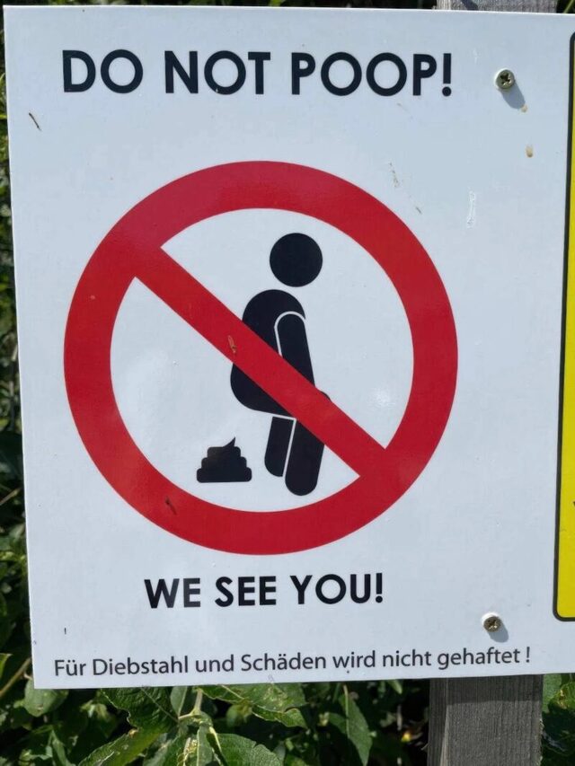 Bildschirmarbeiter - Picdump KW 31/2025