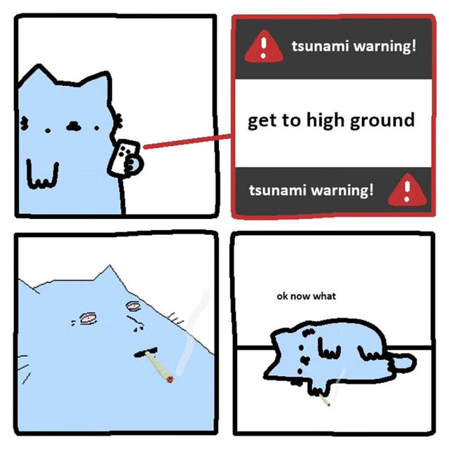 Bildschirmarbeiter - Picdump KW 31/2025