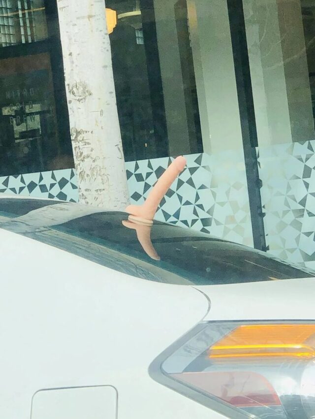 Bildschirmarbeiter - Picdump KW 31/2025