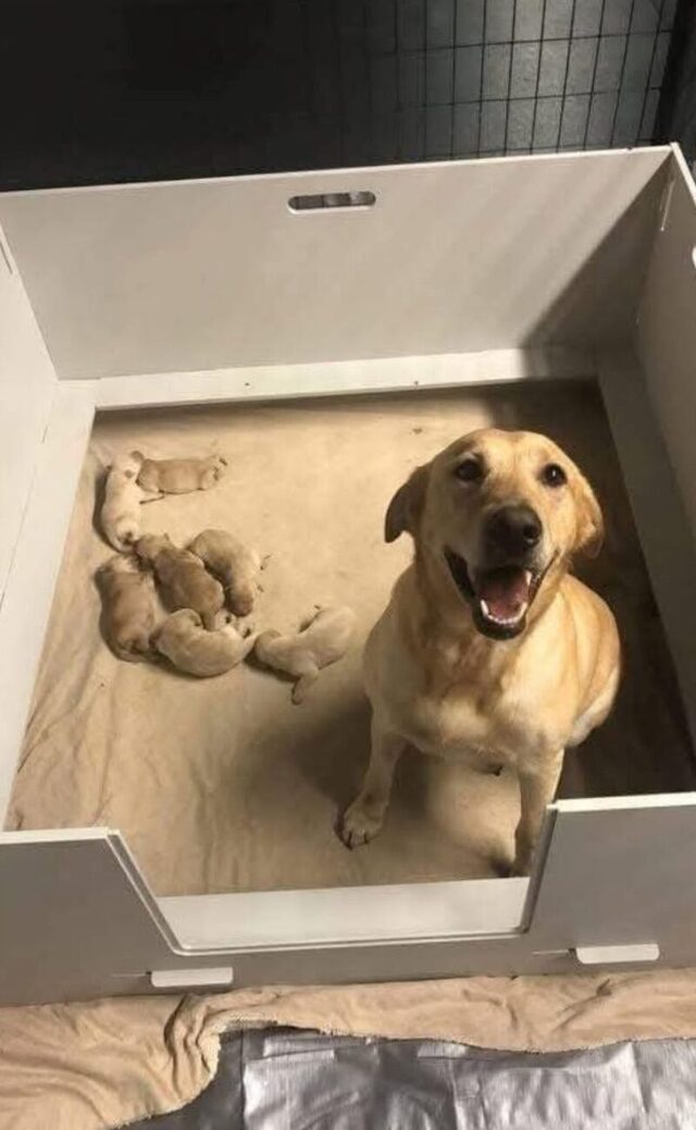 Bildschirmarbeiter - Picdump KW 31/2025