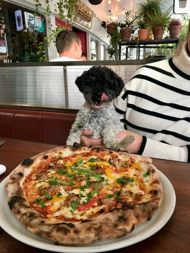 Bildschirmarbeiter - Picdump KW 31/2025