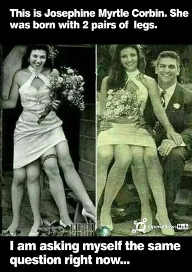 Bildschirmarbeiter - Picdump KW 31/2025