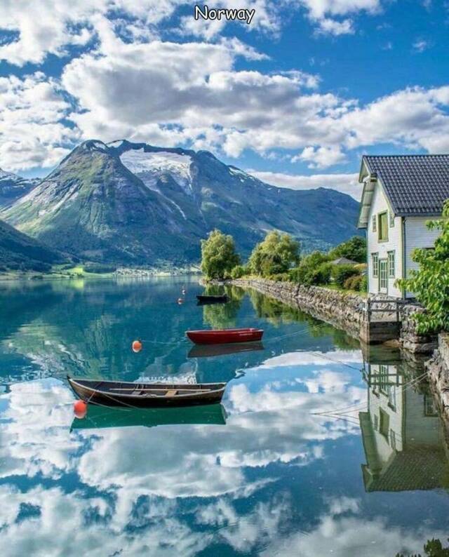 Bildschirmarbeiter - Picdump KW 31/2025