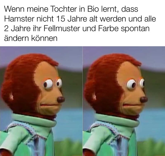 Bildschirmarbeiter - Picdump KW 31/2025