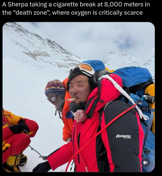 Bildschirmarbeiter - Picdump KW 31/2025