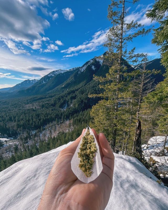 Bildschirmarbeiter - Picdump KW 31/2025