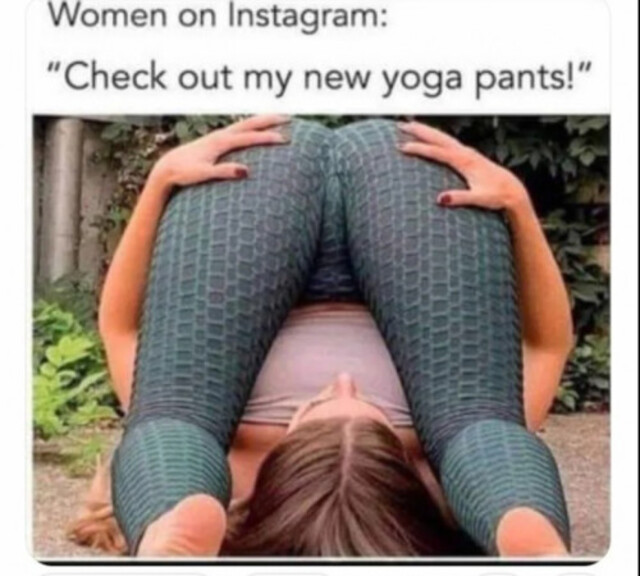 Bildschirmarbeiter - Picdump KW 31/2025