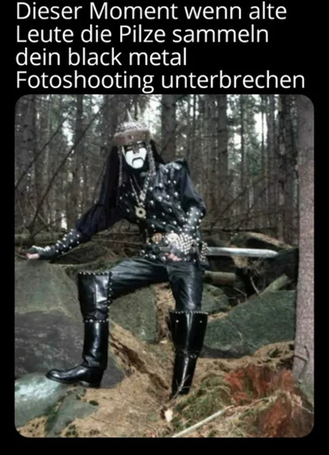 Bildschirmarbeiter - Picdump KW 31/2025