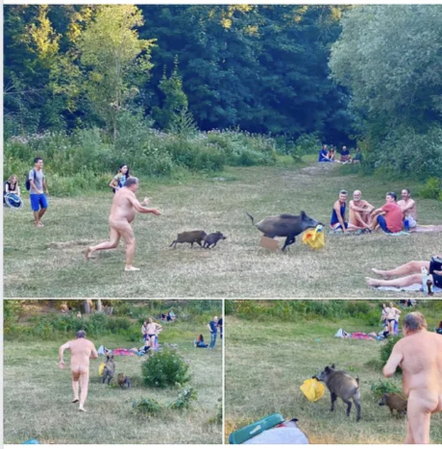 Nachschlag - Bildschirmarbeiter - Picdump KW32 2020