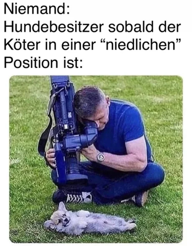 Nachschlag - Bildschirmarbeiter - Picdump KW32 2020