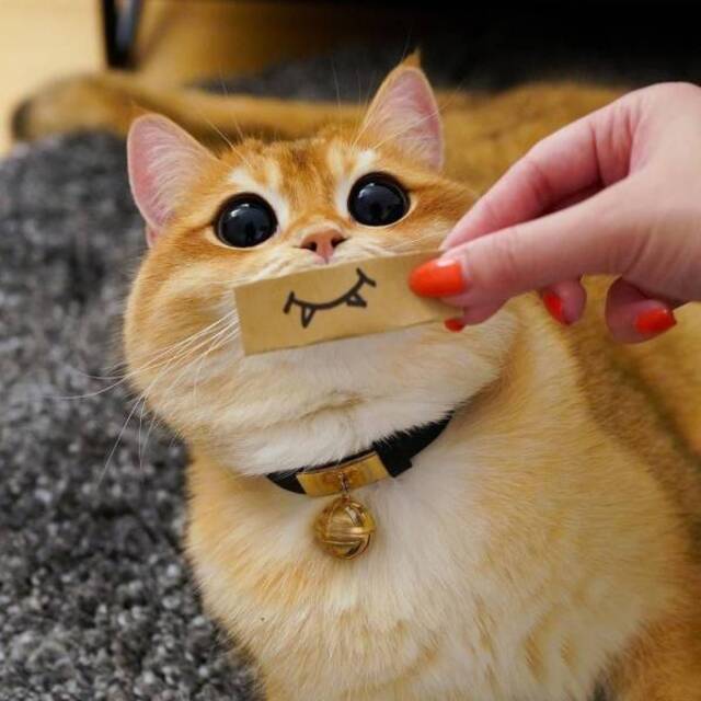 Nachschlag - Bildschirmarbeiter - Picdump KW32 2020