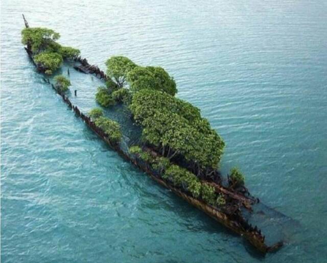 Nachschlag - Bildschirmarbeiter - Picdump KW32 2020