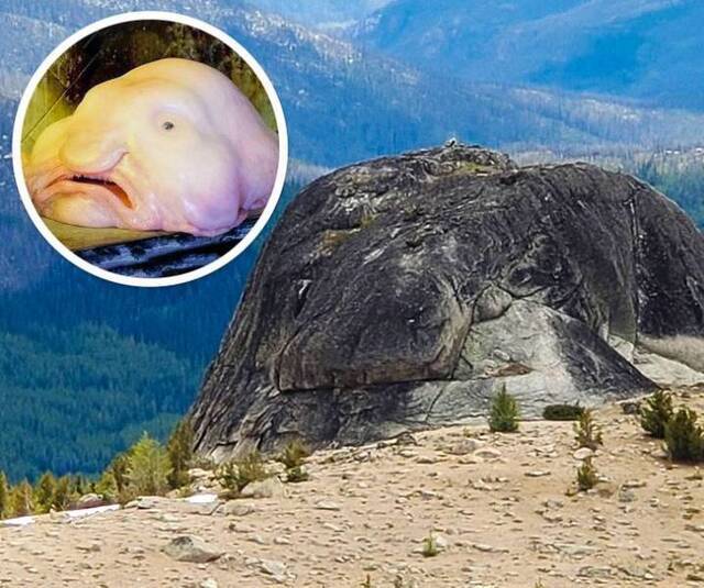 Nachschlag - Bildschirmarbeiter - Picdump KW32 2020