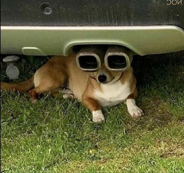 Nachschlag - Bildschirmarbeiter - Picdump KW32 2020