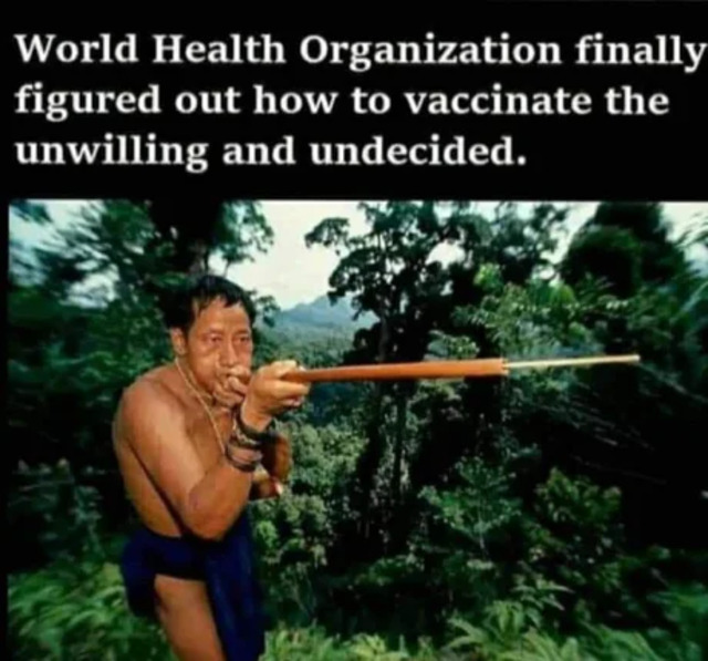 Bildschirmarbeiter - Picdump KW32 2021