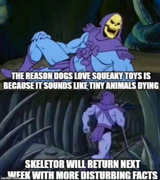 Bildschirmarbeiter - Picdump KW32 2021