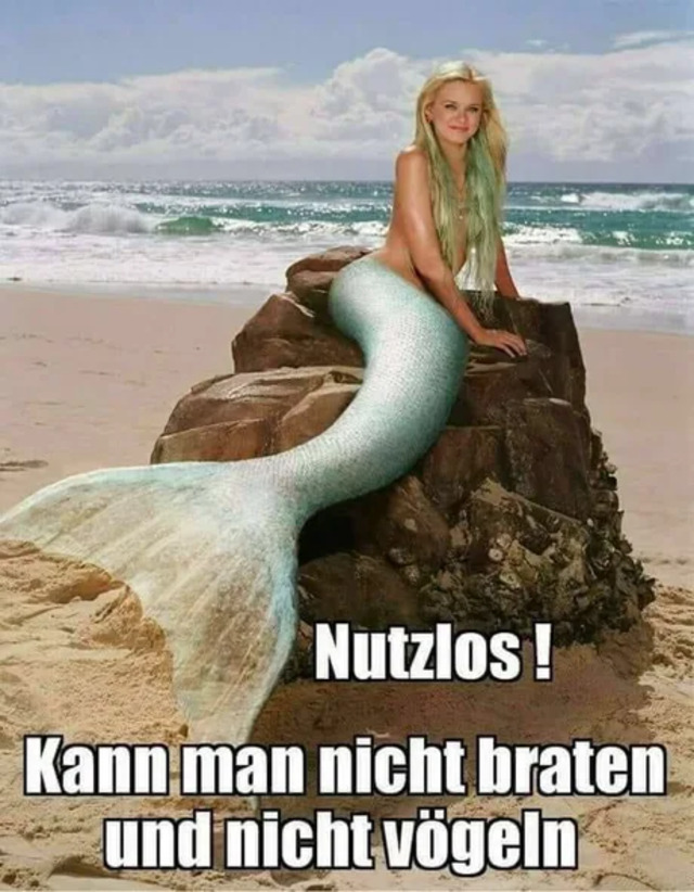 Bildschirmarbeiter - Picdump KW32 2021