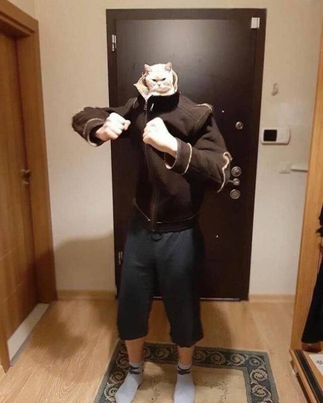 Bildschirmarbeiter - Picdump KW32 2021