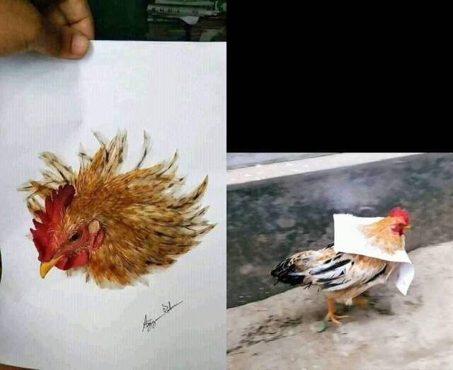 Bildschirmarbeiter - Picdump KW32 2021