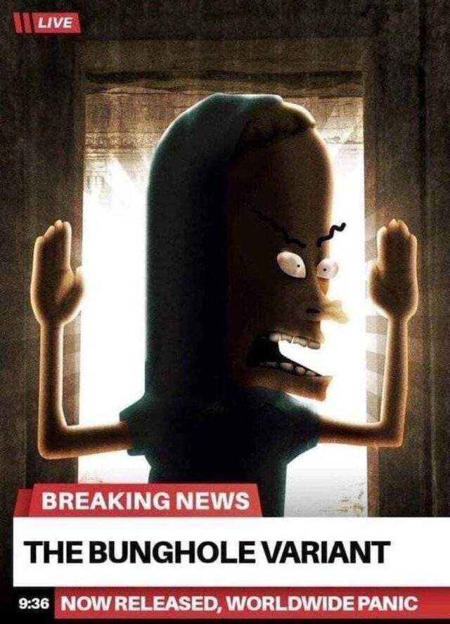 Bildschirmarbeiter - Picdump KW32 2021