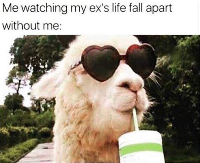 Bildschirmarbeiter - Picdump KW32 2021