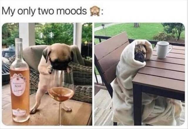 Bildschirmarbeiter - Picdump KW32 2021