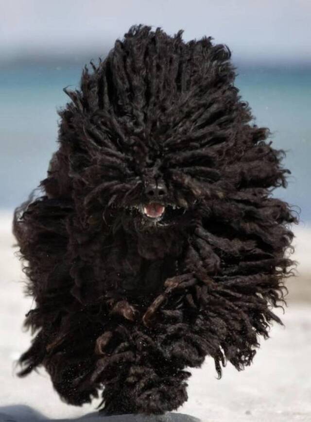 Bildschirmarbeiter - Picdump KW32 2021