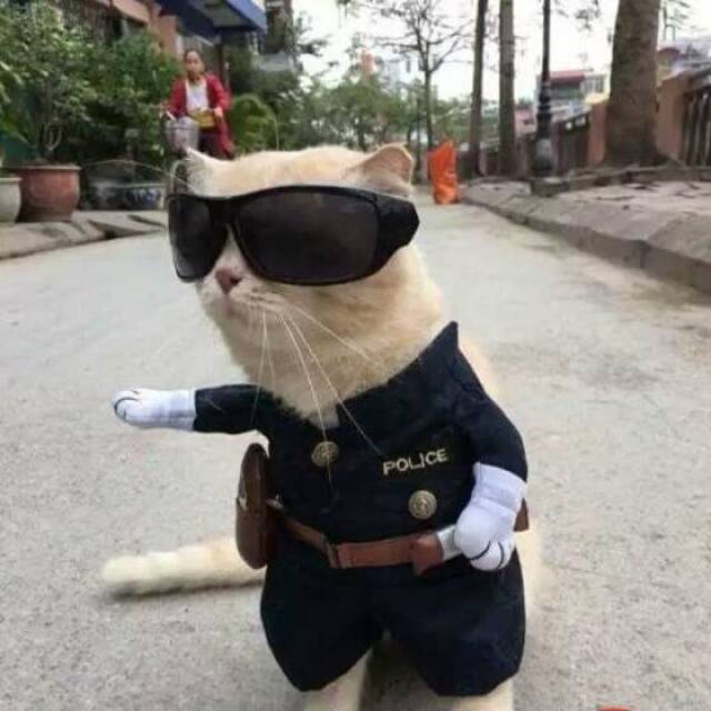 Bildschirmarbeiter - Picdump KW32 2021