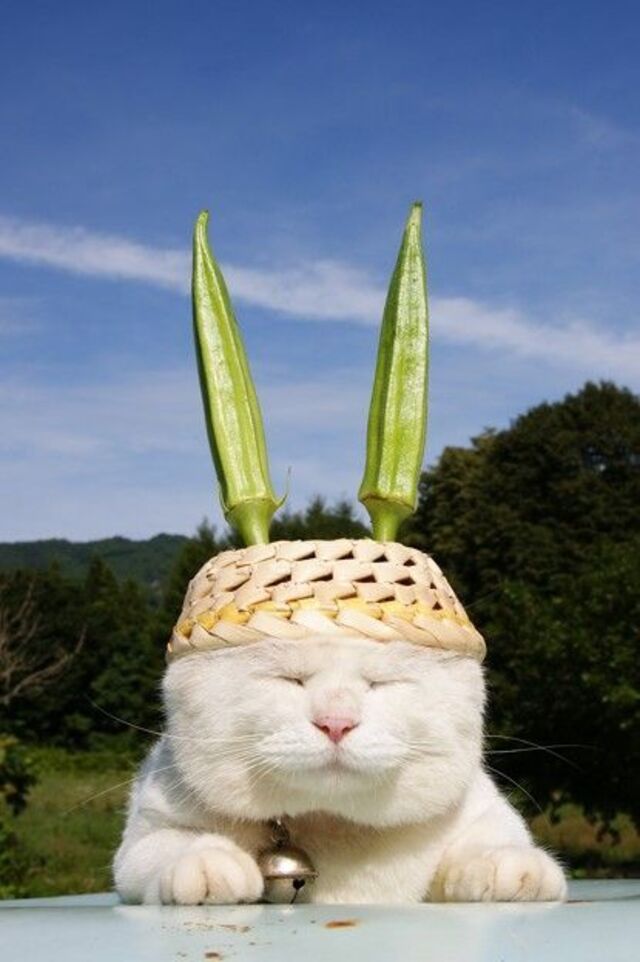 Bildschirmarbeiter - Picdump KW32 2021