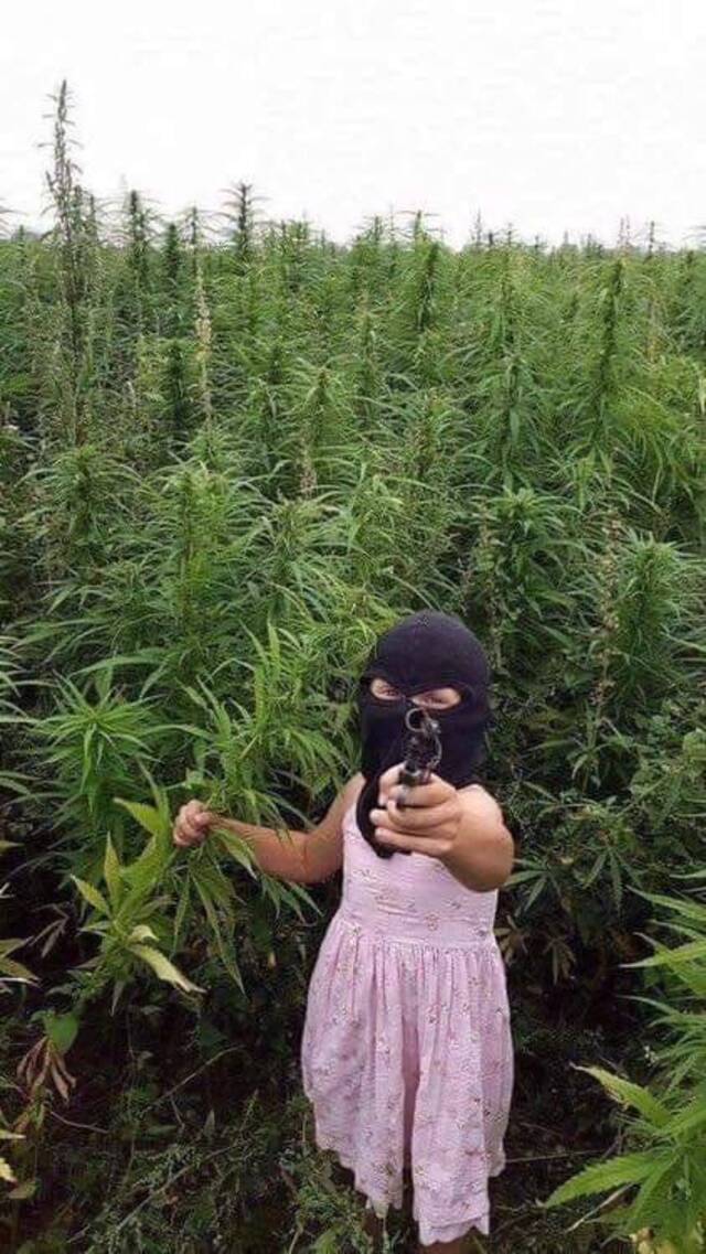 Bildschirmarbeiter - Picdump KW32 2021