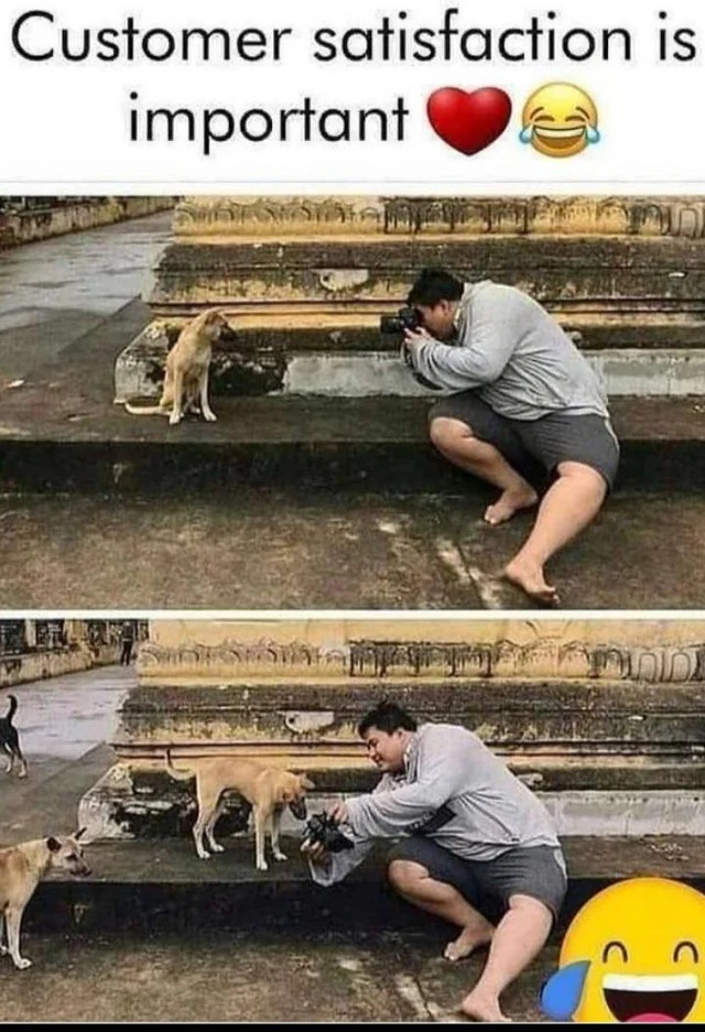 Bildschirmarbeiter - Picdump KW32 2021