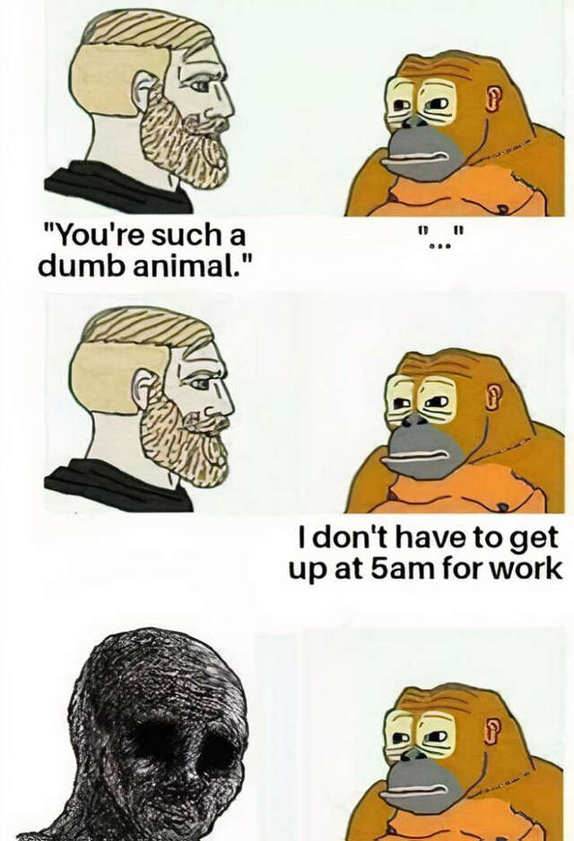 Bildschirmarbeiter - Picdump KW 32/2025