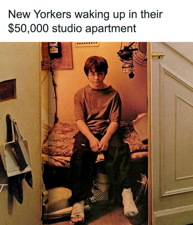 Bildschirmarbeiter - Picdump KW 32/2025