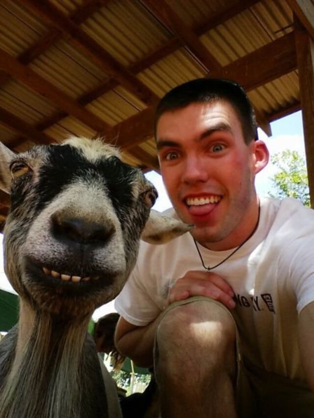 Bildschirmarbeiter - Picdump KW 32/2025