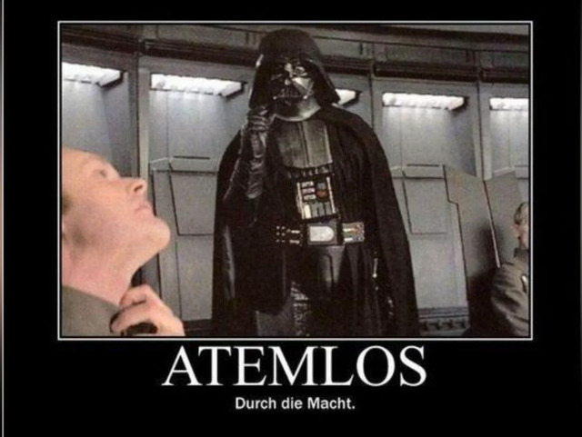 Bildschirmarbeiter - Picdump KW 32/2025