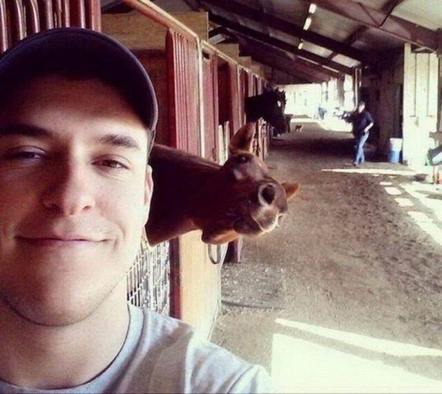 Bildschirmarbeiter - Picdump KW 32/2025