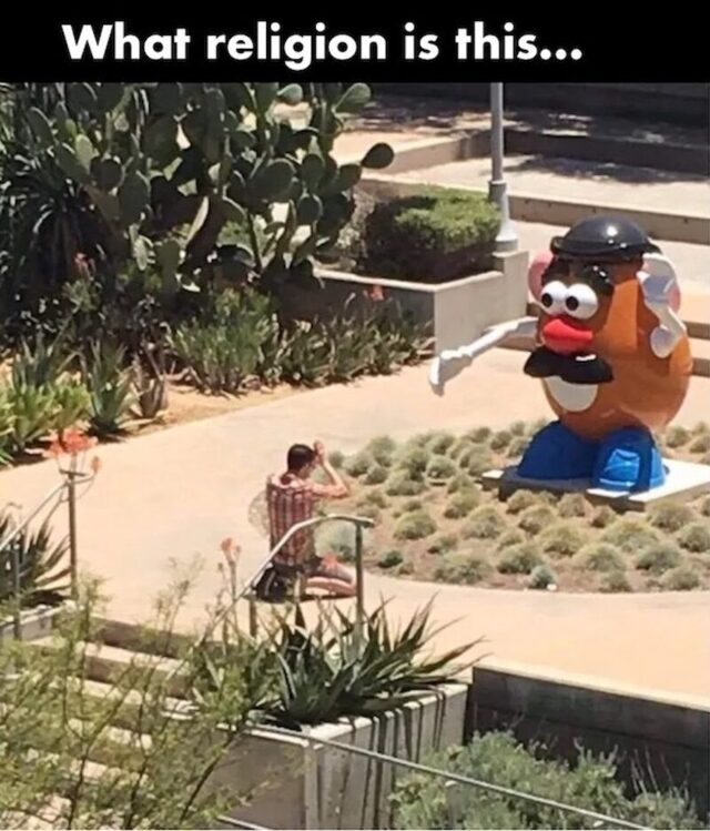 Bildschirmarbeiter - Picdump KW 32/2025