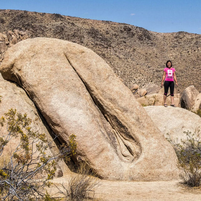 Bildschirmarbeiter - Picdump KW 32/2025