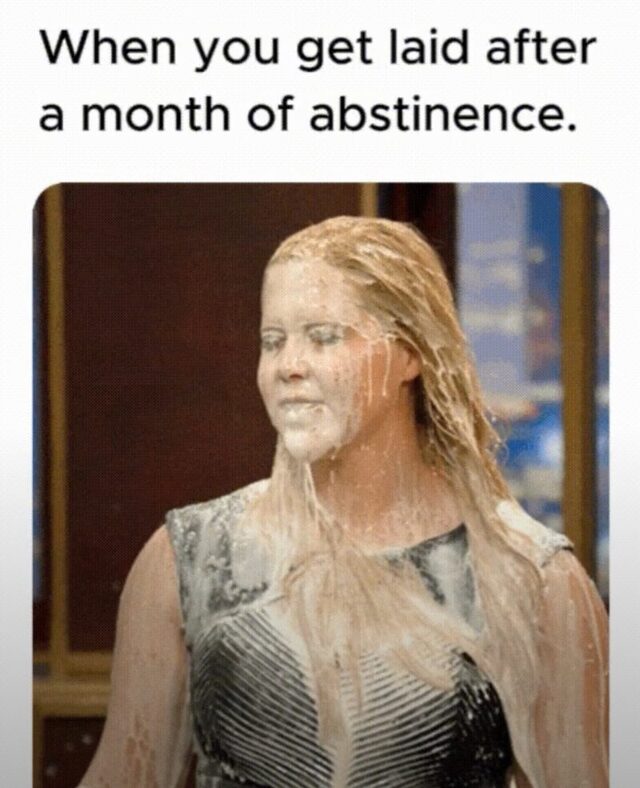 Bildschirmarbeiter - Picdump KW 32/2025