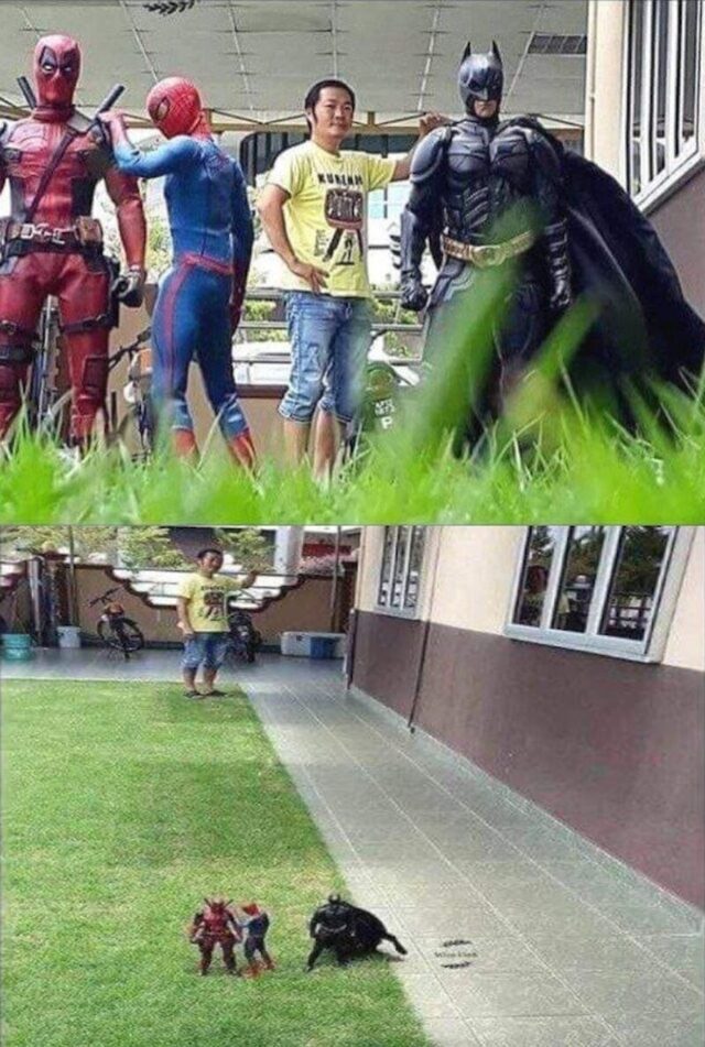 Bildschirmarbeiter - Picdump KW 32/2025