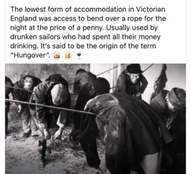 Bildschirmarbeiter - Picdump KW 32/2025