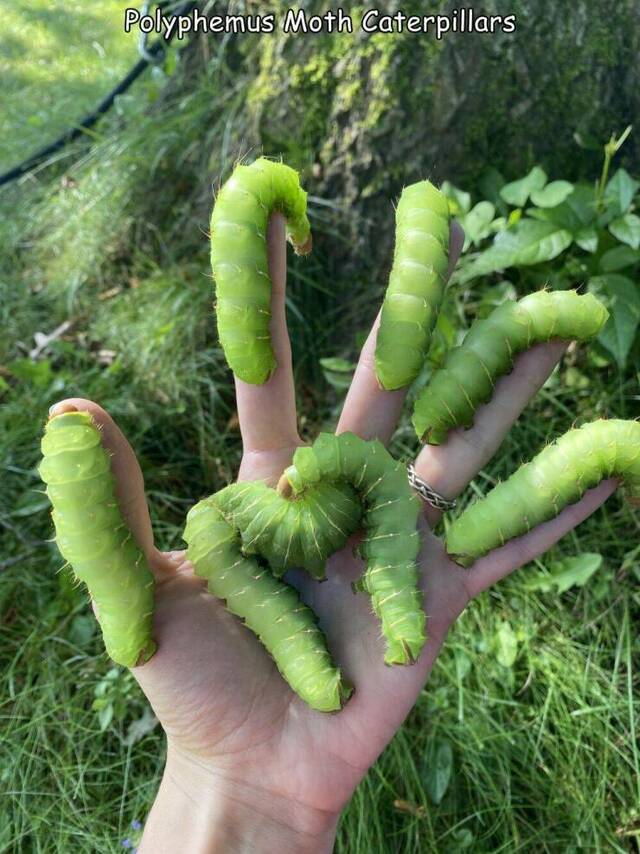 Bildschirmarbeiter - Picdump KW 32/2025