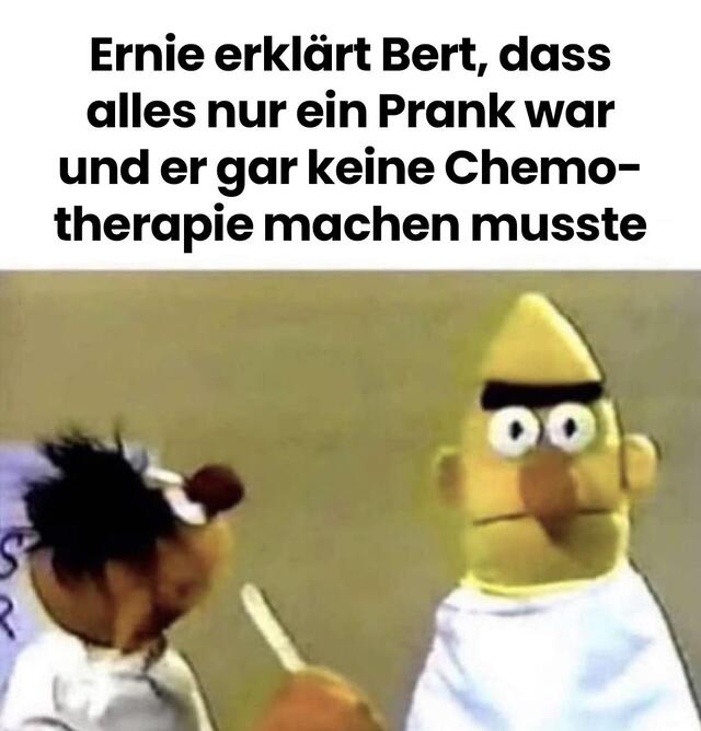 Bildschirmarbeiter - Picdump KW 32/2025