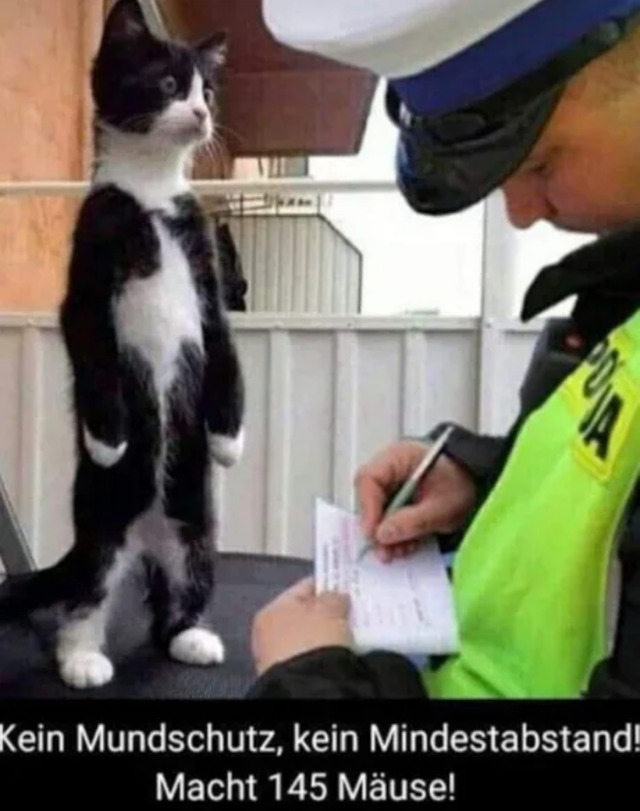 Bildschirmarbeiter - Picdump KW33 2020