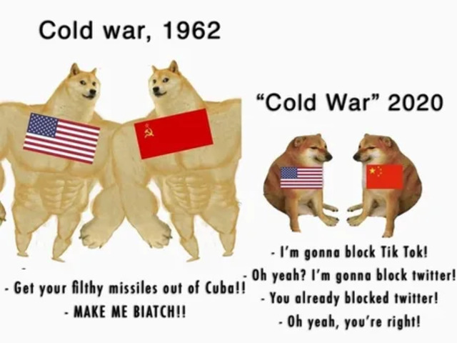 Bildschirmarbeiter - Picdump KW33 2020