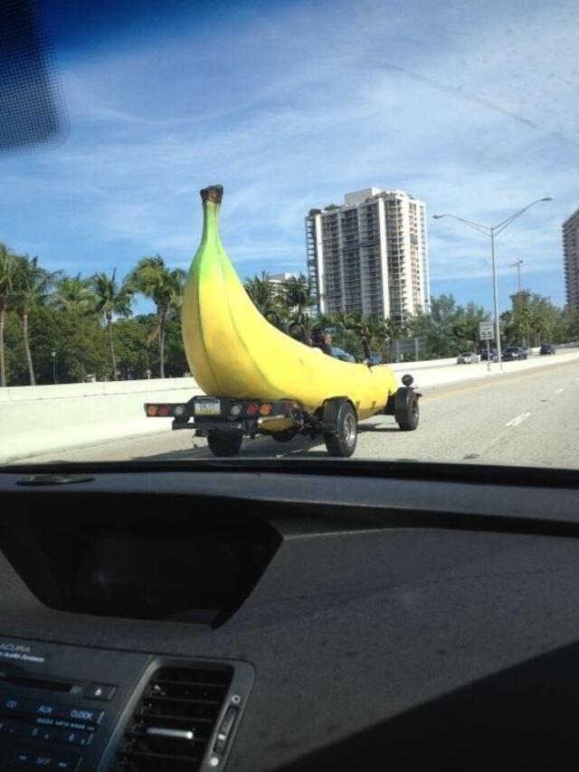 Bildschirmarbeiter - Picdump KW33 2020