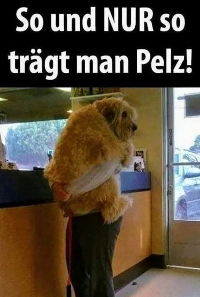 Bildschirmarbeiter - Picdump KW33 2020