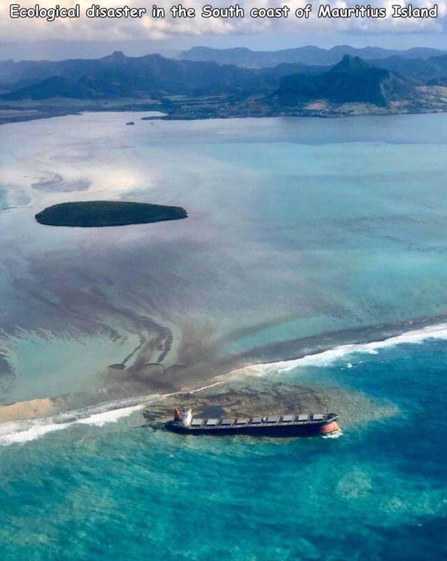 Bildschirmarbeiter - Picdump KW33 2020