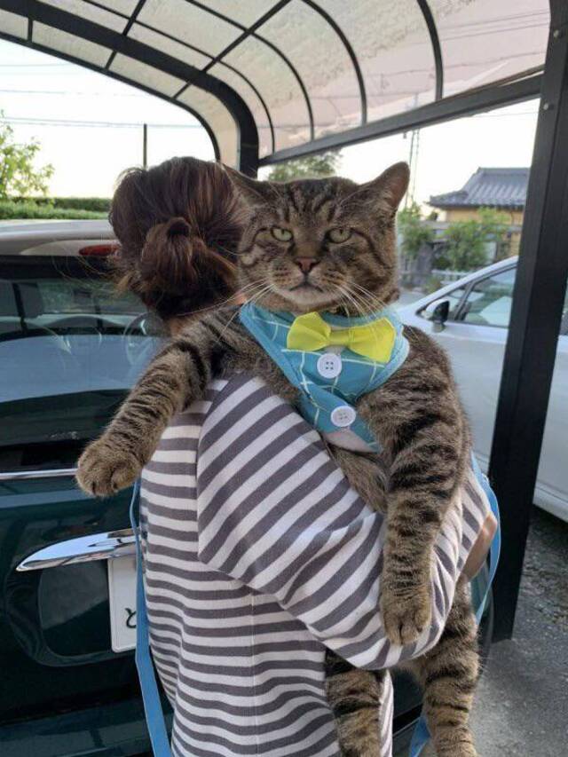 Bildschirmarbeiter - Picdump KW33 2020