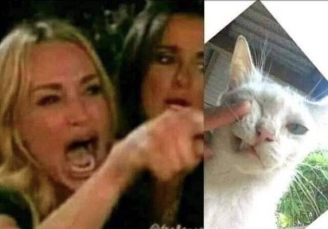 Bildschirmarbeiter - Picdump KW33 2020